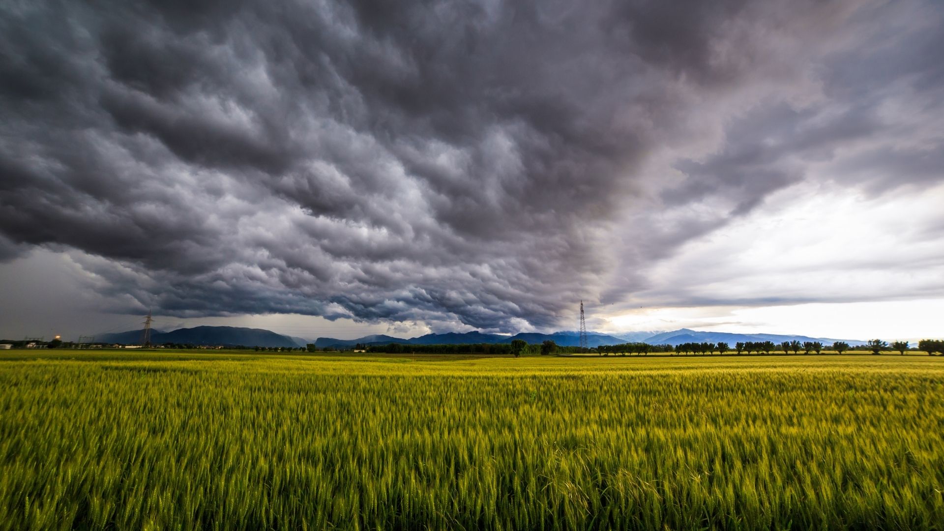 Ostrzeżenia meteorologiczne zbiorczo nr 82 przed burzami