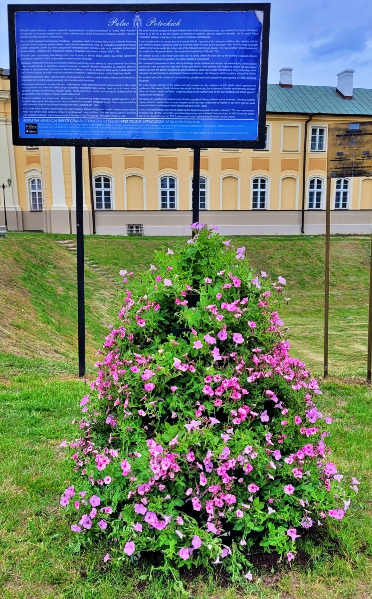 Nowe nasadzenia w przestrzeni miejskiej