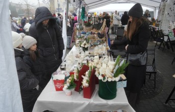 Fot. Tomasz Młynarczyk