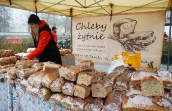 Fot. Tomasz Młynarczyk