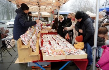 Fot. Tomasz Młynarczyk