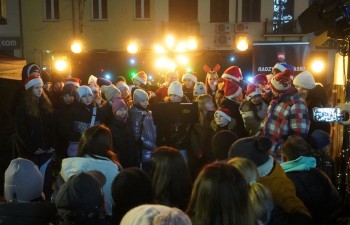 Fot. Tomasz Młynarczyk