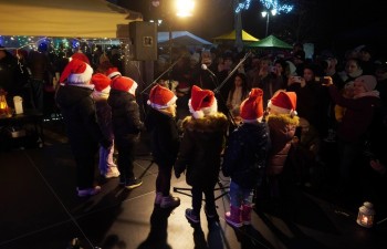 Fot. Tomasz Młynarczyk