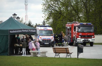 Fot.: Tomasz Młynarczyk