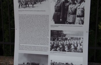 wystawa_monte_casino010