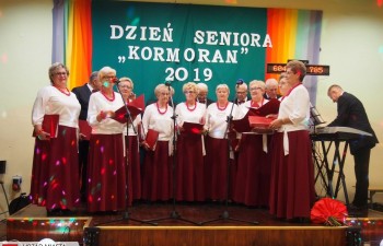 kormoran018