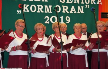 kormoran021