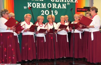 kormoran026