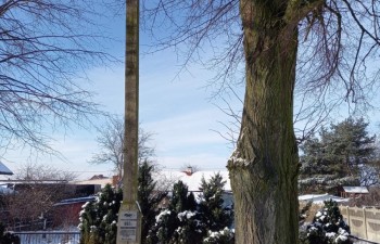 radzyn-mogila-powstanie3