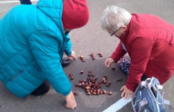 244423668_4383075438446388_4750445886137568836_n