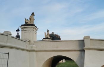 IMG_20221018_162805_edit_1190060791830384