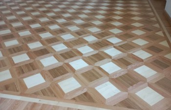 343442485_584144866826526_6295490960072578544_n