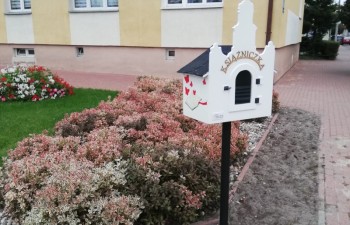 IMG_20231005_173550