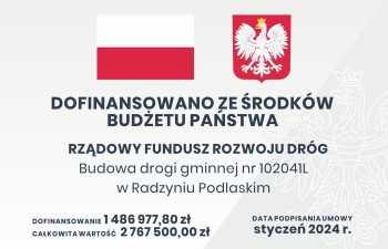 138973 ZELTECH tablica informacyjna Radzyń