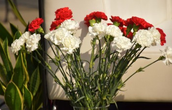 Fot.: Joanna Brzyska