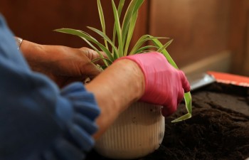 Fot.: Radzyński Ośrodek Kultury