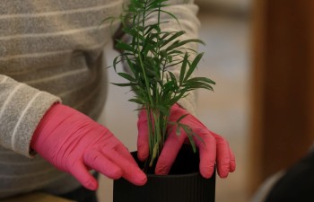 Fot.: Radzyński Ośrodek Kultury