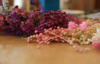 Fot.: Radzyński Ośrodek Kultury