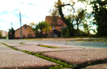 Jakub Zieliński - Siła natury