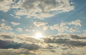 Karolina Mańko - Radzyńskie przedmieścia