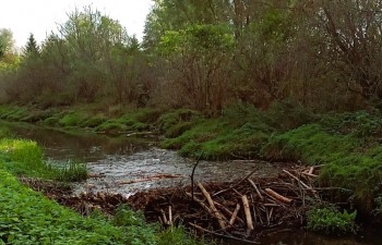 Maciej Łukasik - Radzyńscy inżynierowie