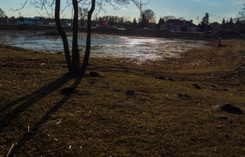 Michał Mazuś - Wiosenna schludność