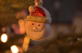 Fot.: Joanna Brzyska