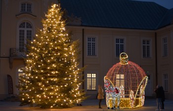 Fot.: Joanna Brzyska