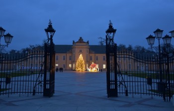 Fot.: Joanna Brzyska