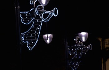 Fot.: Joanna Brzyska